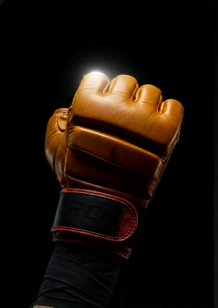 MMA Glove